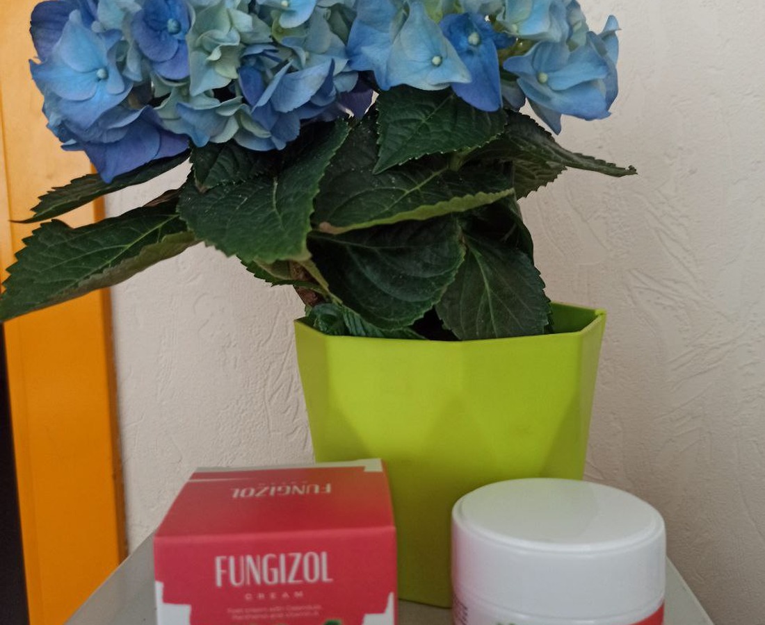 Fungizol product